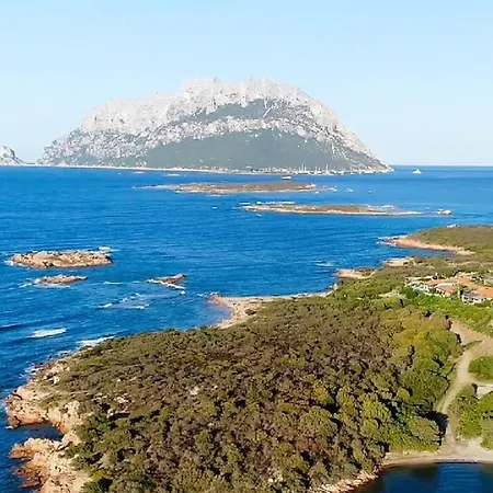 Vista Mare A 150m Dalla * Costa Corallina